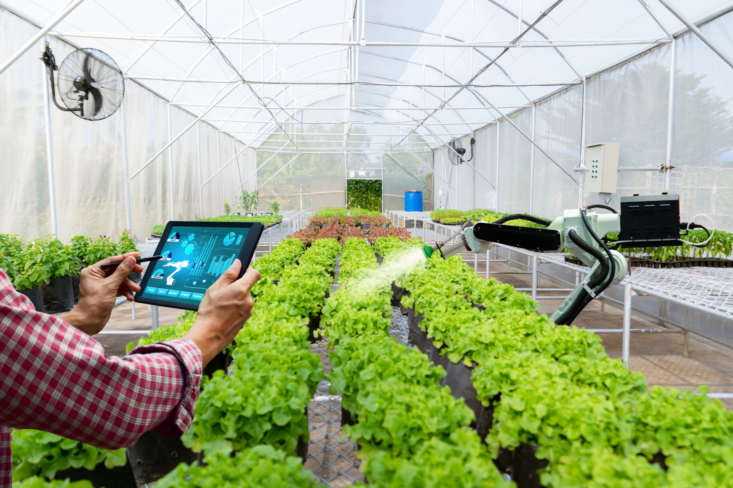 ERMESS Green a Sanremo: serre smart e sostenibili, progetto da 2 milioni di euro