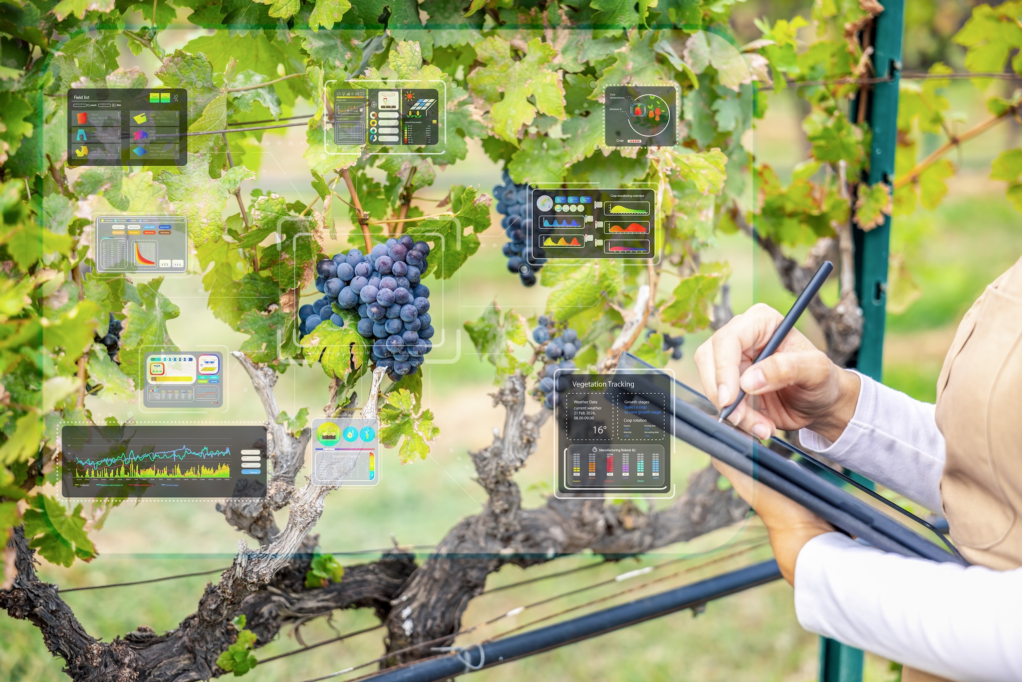 Come la tecnologia sta cambiando il modo di produre vino