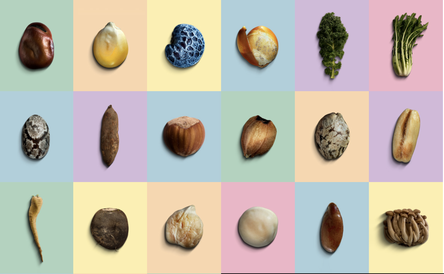 I Future Foods per un'alimentazione più sostenibile