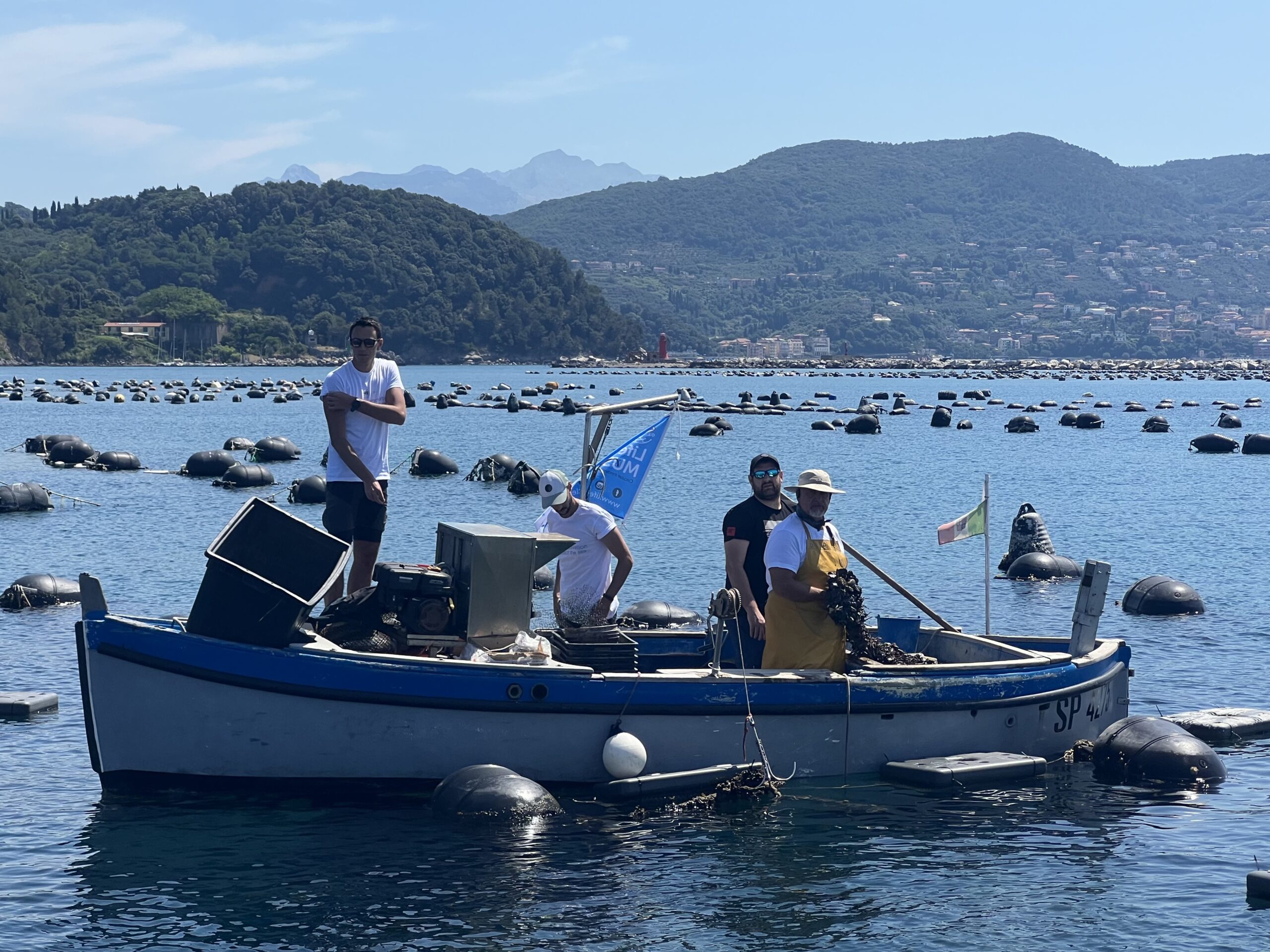 Mitilicoltura sostenibile: la Liguria spinge l’Italia verso reti biodegradabili e riciclo delle calze