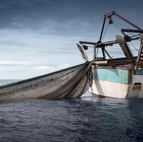 pesca a strascico